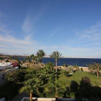 tower bay resort (ex.labranda tower bay)