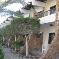 turquoise beach hotel