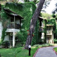amara club marine nature