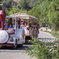 crystal golden age hotel gumusluk (ex. crystal hotel bodrum)