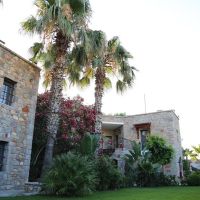 palmarina bodrum boutique hotel
