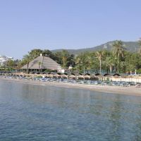 amara club marine nature