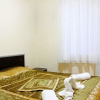 navy blue stars hotel