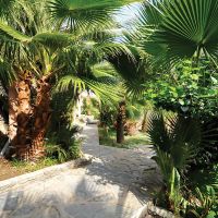 Phoenix Sun Hotel (ex.palm Garden Gumbet)