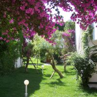 club boran mare beach