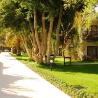 club boran mare beach