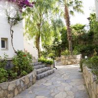 royal panacea hotel