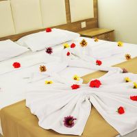 royal panacea hotel
