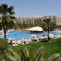 barut arum