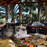 barut arum