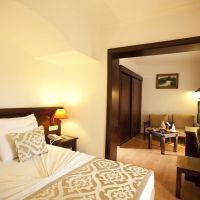 club hotel turan prince world