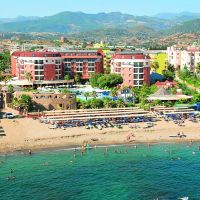 palmeras hotel