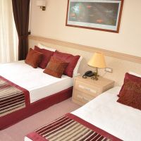 merry hotel