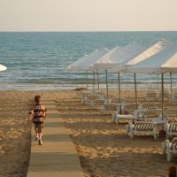 barut hemera