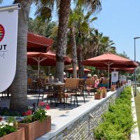 barut arum
