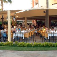 palmeras hotel