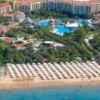 barut arum