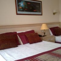 merry hotel