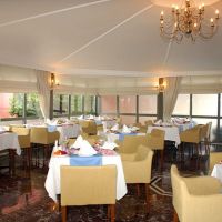 palmeras hotel
