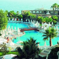 palmeras hotel