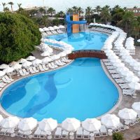 palmeras hotel
