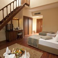 club hotel turan prince world