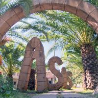 club oasis eternity (ex. mcs oasis beach club)