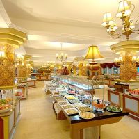 delphin botanik hotel