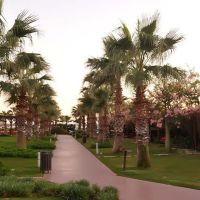 saturn palace resort