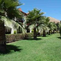 tiana beach resort