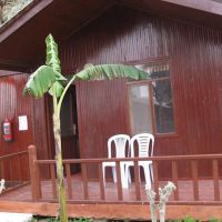 river park hotel