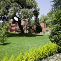 euphoria tekirova hotel
