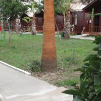 river park hotel