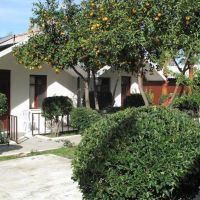 river park hotel