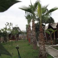 river park hotel
