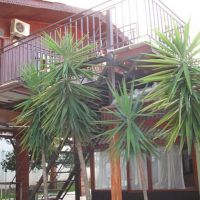 river park hotel
