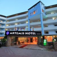 turkler artemis