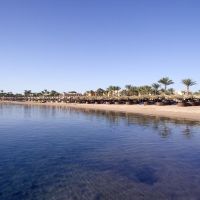 jaz makadi oasis resort & club
