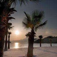 d maris bay