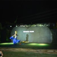 manas park hotel
