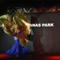 manas park hotel