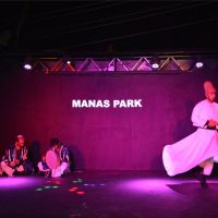 manas park hotel