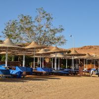 OLD VIC RESORT SHARM