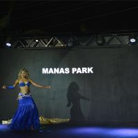 manas park hotel