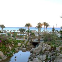 parrotel beach resort (ex. radisson blu )