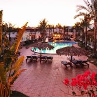 Ocean Club Red Sea Hotel