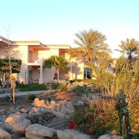parrotel beach resort (ex. radisson blu )