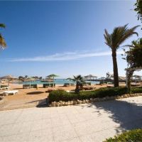 festival shedwan golden beach resort
