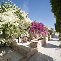 festival shedwan golden beach resort