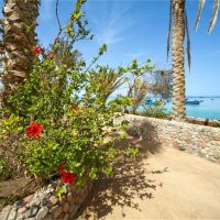 festival shedwan golden beach resort